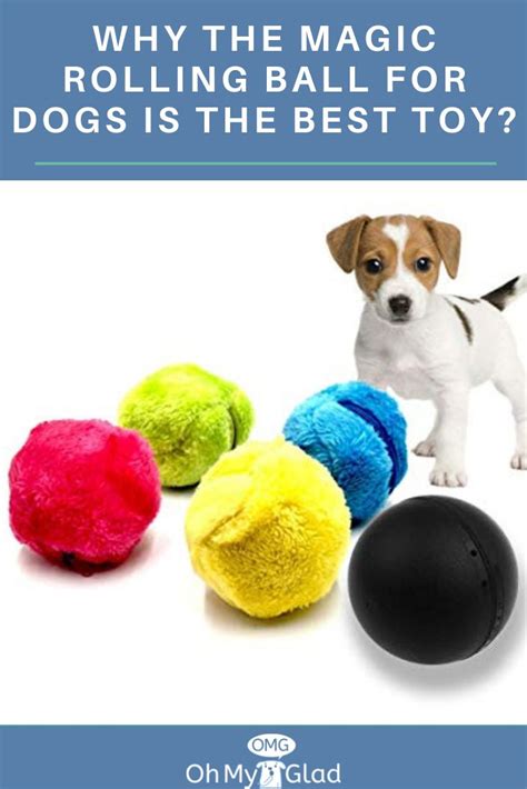 Magic rollwr ball for dogs